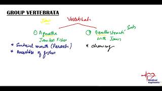 CH 09 LEC 51 Group Vertebrata  Sub Phylum Agnatha amp Gnathostomata [upl. by Hsihsa]