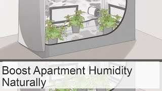 How to humidify the air in the room without a humidifier the need what are the norms [upl. by Joiner780]