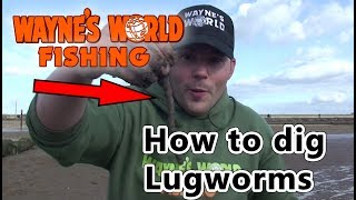 How to dig your own Lugworm [upl. by Ayanej]