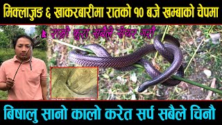 Lesser black krait Rescue inside home night 10 pm Miklajung 6 khakarbari morang [upl. by Annoit]