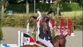 240906 New NAUTULUS 2018 gelding By Jambore VIGO [upl. by Schou]