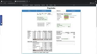 How To Use Modern Style Pay Stub Generator [upl. by Fortin]