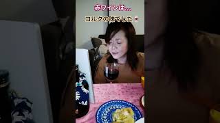 【赤ワイン】赤ワインって美味しいね🍷✨ ワイン シンママ シングルマザー 難病 多発性硬化症 車椅子 [upl. by Vrablik]