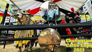 Chittagong Cattle Expo 2023  Cattle Expo 2023 Bangladesh  Biggest cow in Bangladesh 2023 [upl. by Elton641]