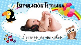 Música Estimulación Temprana para bebes sonidos de animales [upl. by Cornwell]