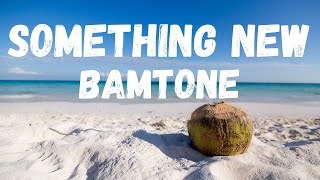 lyrics SOMETHING NEW – BAMTONE [upl. by Ecnaret603]