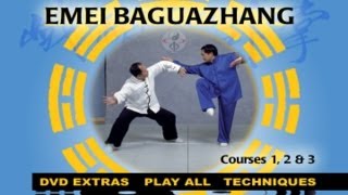 Baguazhang YMAA Eight Trigrams Palm Kung Fu Liang ShouYu [upl. by Taveda]