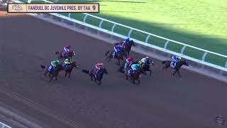 The 2024 Breeders’ Cup Juvenile G1 Won By Citizen Bull  Gaming 2nd  Full Replay [upl. by Annuaerb]