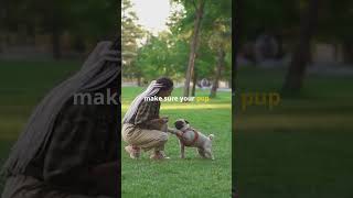 Why Do Dogs Eat Poop 🚫💩🐕 [upl. by Nawuj]