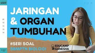 Soal UTBK Biologi  Jaringan dan Organ Tumbuhan [upl. by Dercy846]