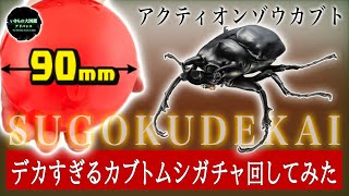 【すごくデカい】いきもの大図鑑アドバンスのアクティオンゾウカブトを開封してみた！ いきもの大図鑑アドバンス ゾウカブト レビュー ガチャガチャ [upl. by Lenny]