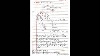 Depth First search Algorithm Problems in AIModule 121CS54Lec34 [upl. by Favin]