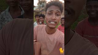 seta 🐕 asul kope boyha menkhan pussi 😺 do bang 🤣🤣 funny video dnscomedy [upl. by Jsandye518]