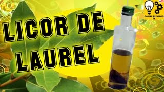 Como hacer licor de LAUREL Sorprendente y delicioso [upl. by Luthanen]