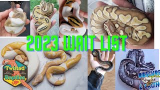 Ball Python Waitlist 2023 [upl. by Allbee]