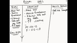 Renal Lab Values Made Simple [upl. by Marietta]