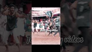 அய்யோ பாவம் tamil jallikattu thanjavur enjoy fun funny love shorts nature godsgift [upl. by Leirbma]