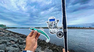 Shore JIGGING GIANT SWIMBAITS Stripers amp Bluefish In CAPE COD CANAL [upl. by Aay]