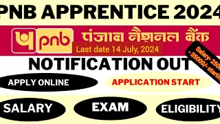 PNB apprentice notification 2024 out  PNB new recruitment 2024  Punjab National Bank online apply [upl. by Nymassej]