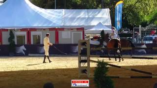 Ludger Beerbaum Lausanne 2012 Training Paddock 3ª Day Global Champions Tour 2012 [upl. by Dahsraf350]