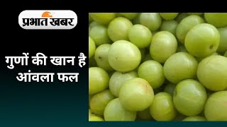 Amla benefits 10 समस्याओं का एक इलाज है आंवला देखिए वीडियो क्या है इसके धार्मिक महत्व [upl. by Anilatak223]