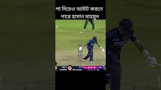 What a Bowled out and run out by Hasan Mahmud  খেলার খবর। Khelar Khoborcricket crickethighlights [upl. by Mulry764]