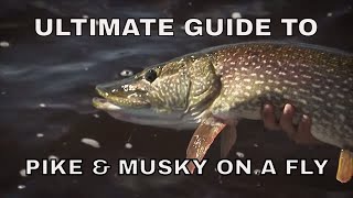 Ultimate Guide to Pike and Musky Fishing on a Fly [upl. by Wareing]