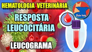 Interpretação do hemograma  Leucograma Parte 1  Medicina veterinária [upl. by Doreen]