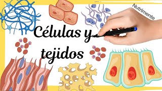 CÉLULAS y TEJIDOS [upl. by Sundin]