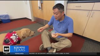 Do dogs talk UTA researcher working to find out [upl. by Arihk]