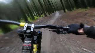 Soggy first run down Popty Ping  Bike Park Wales [upl. by Carlisle]