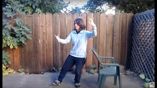 Tai Chi  Basic Moves 110 Flow Through 91324 [upl. by Vi]