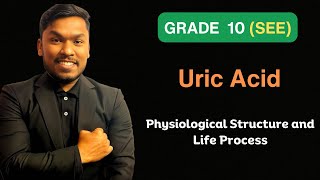 Uric Acid  Class 10  Science  Physiological Structure and Life Process  SEE  Part 3 [upl. by Puna774]