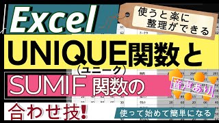 【 Excel UNIQUE関数で整理し SUMIF関数で集計する 】音声あり [upl. by Nae]