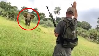 6 Elephant Encounters That Will Give You Anxiety [upl. by Greenberg]