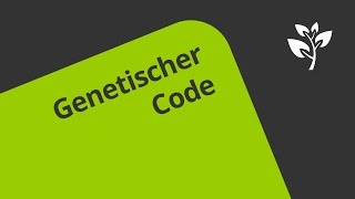 Verschlüsselung der Erbinformation genetischer Code  Biologie  Genetik und Entwicklungsbiologie [upl. by Aryaz]