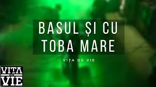 Vita de Vie  Basul si cu Toba Mare  Videoclip OFICIAL [upl. by Watters]