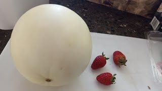 Irene Bee View Vlogger is live Lets Peel Rock Melon amp strawberrypeel rockmelon yummy [upl. by Novaj797]