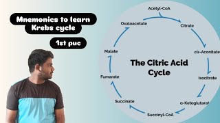 Mnemonics to learn KREB CYCLE in Kannada  TCA CYCLE  CITRIC ACID CYCLE Trick credits  VIPIN SIR [upl. by Torrey]