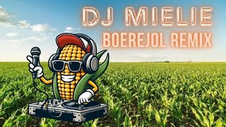 Boerejol  Die Ventertjies Kosie Beukes amp Kannie Warries Dansorkes DJ MIELIE REMIX [upl. by Landy]