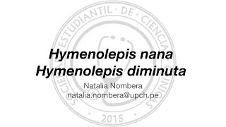 Hymenolepis nana  Hymenolepis diminuta [upl. by Duax]