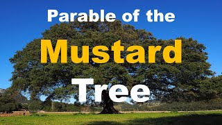 Parable of the Mustard Seed Tree  An Important Spiritual Lesson  Faith [upl. by Acnairb691]