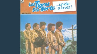 Los Tigres Del Norte  La Reina Del Sur En Vivo [upl. by Helsell]