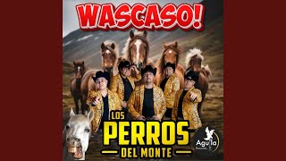 WASCASO [upl. by Tertias]