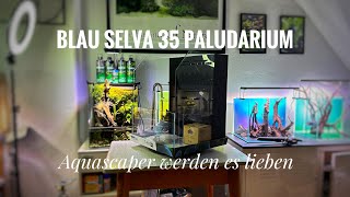 Blau Aquaristic Cubic 35 SELVA  die Vorteile von diesem Paludarium [upl. by Ibloc32]