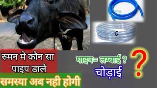 Impaction Of Rumen In Cowampbuffalo  Stomach tube  Stomach tube for animal पशु के रुमन का पाइप [upl. by Nnyllatsyrc953]