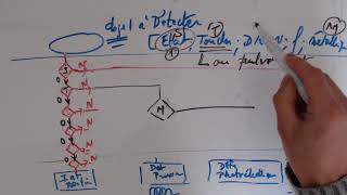 Capteurs  Choix des détecteurs schéma synoptique en fonction de paramètre physique [upl. by Sorci]