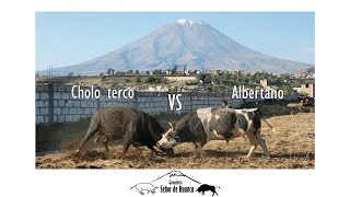 Albertano de Characato VS Cholo Terco de Sabandía [upl. by Hauger252]