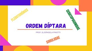 ORDEM DÍPTERA [upl. by Heilman]