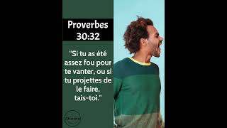 Verset Biblique Du Jour  Proverbes 3032  La sagesse engendre la maîtrise de soi et lhumilité [upl. by Gradey]